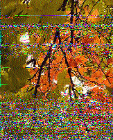 radionanny2k's tweet photo. 2/2 @SWRadiogram https://t.co/wFjchRDqK3