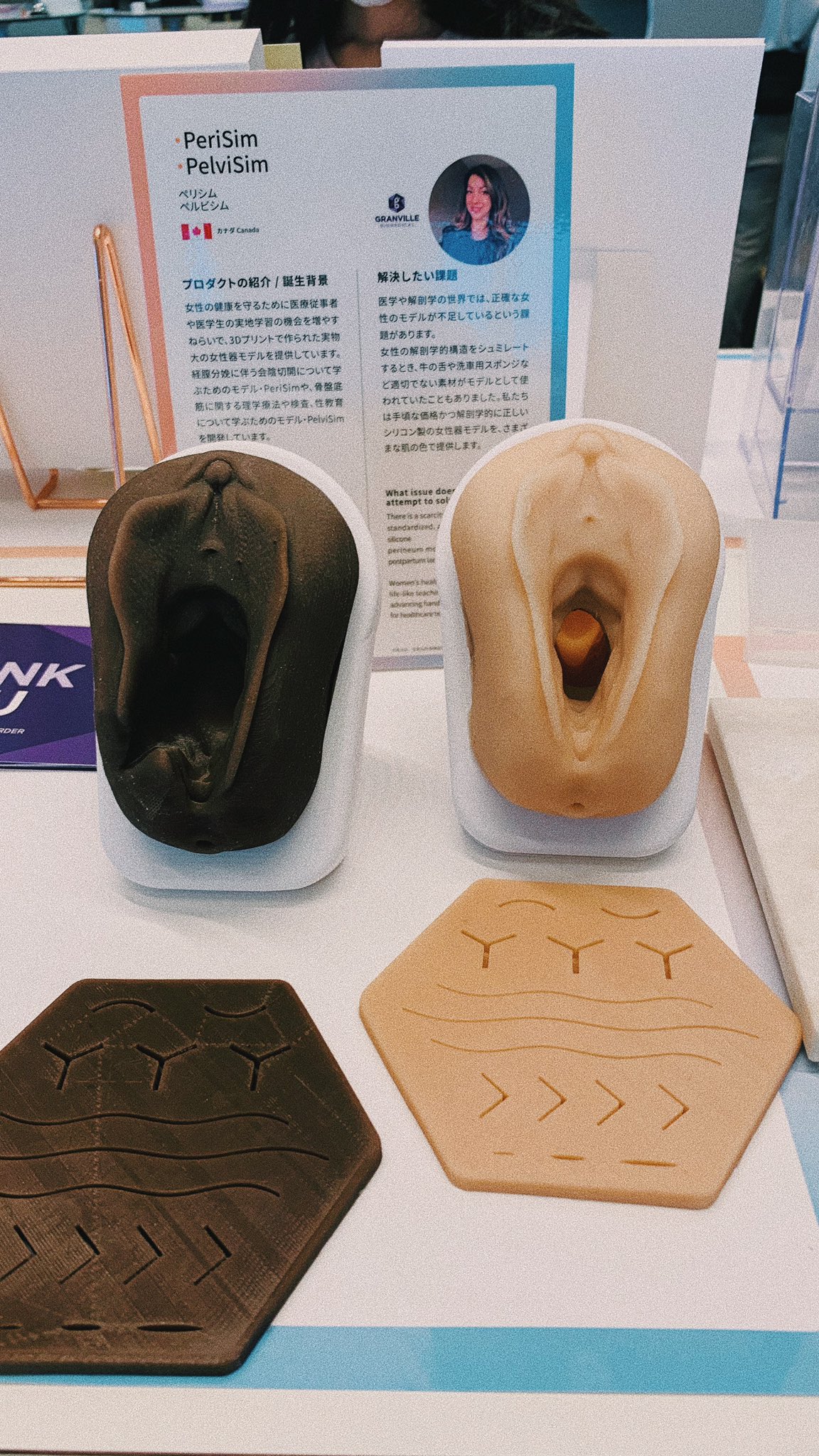 女性器  