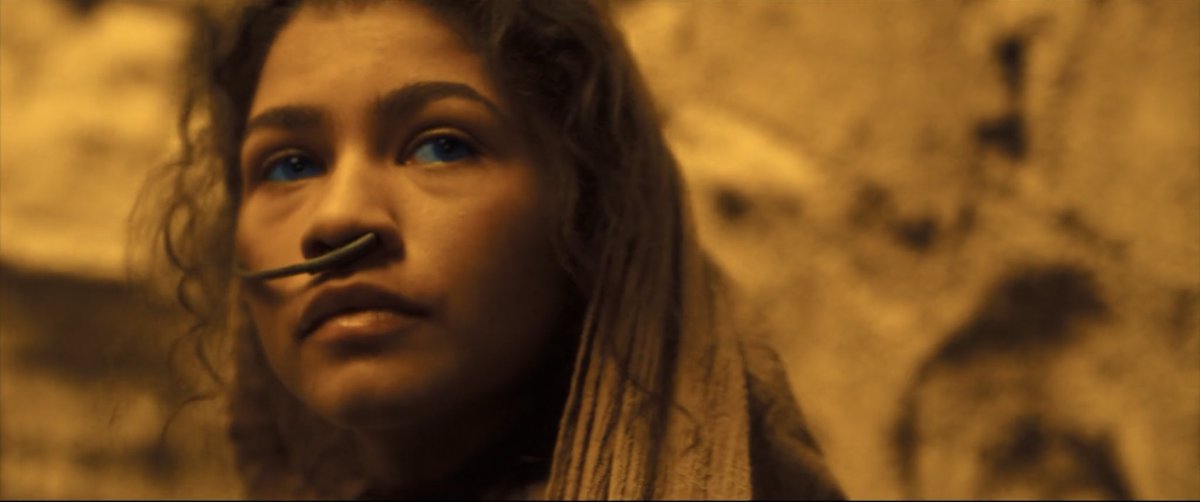 ruezendayaa's tweet photo. zendaya as chani in ⊃∪∩⪽, a thread; https://t.co/FqBoF9YLqI
