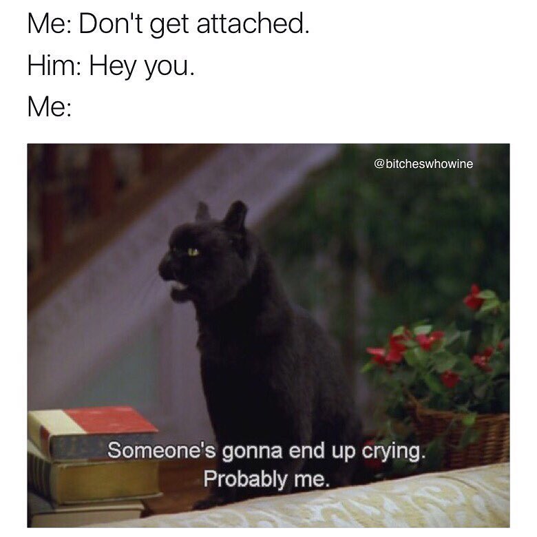 ivelostEM's tweet image. 