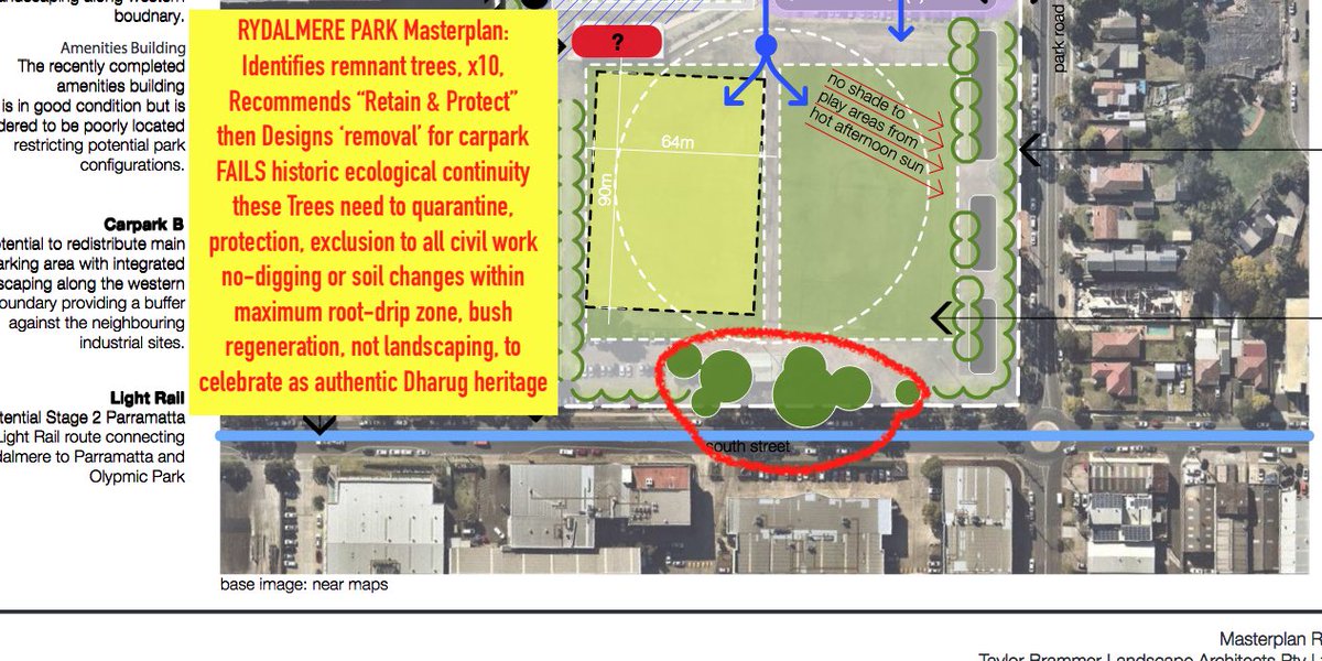 socialcanvas_au's tweet photo. How exactly does all the Site Planning analysis, professional consideration and design (excellence) RESULT in aggressive destruction of these locally significant Ironbark at #RydalmerePark @parracity @ClrDonnaDavis #needsReview https://t.co/sDOvk6rWxd