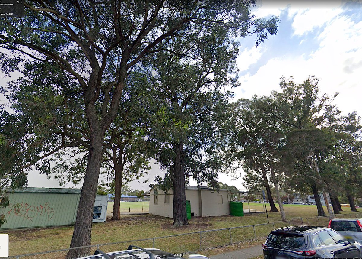 socialcanvas_au's tweet photo. How exactly does all the Site Planning analysis, professional consideration and design (excellence) RESULT in aggressive destruction of these locally significant Ironbark at #RydalmerePark @parracity @ClrDonnaDavis #needsReview https://t.co/sDOvk6rWxd