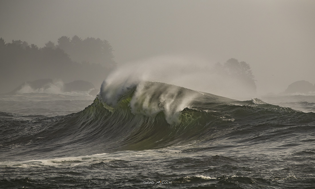 davidlmccolm's tweet photo. The 'emerald coast' ... today in Ucluelet, BC #ucluelet @TourismUcluelet https://t.co/xSd9aZhk85