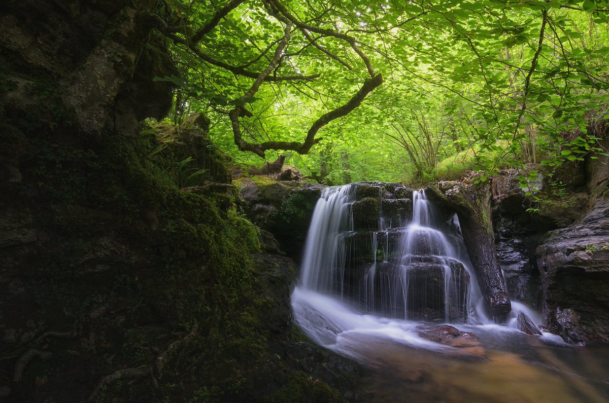 No es lo que ves, es lo que sientes, el momento, el lugar !
Enjoy 😎
#waterfall #landscapelovers #luismasu #river #hacerfotos #forest #Longexposure #landscapephotography #travel #Autumn #NFTCommunity #NaturePhotography #nature #NFTartist 

luismasu.myportfolio.com