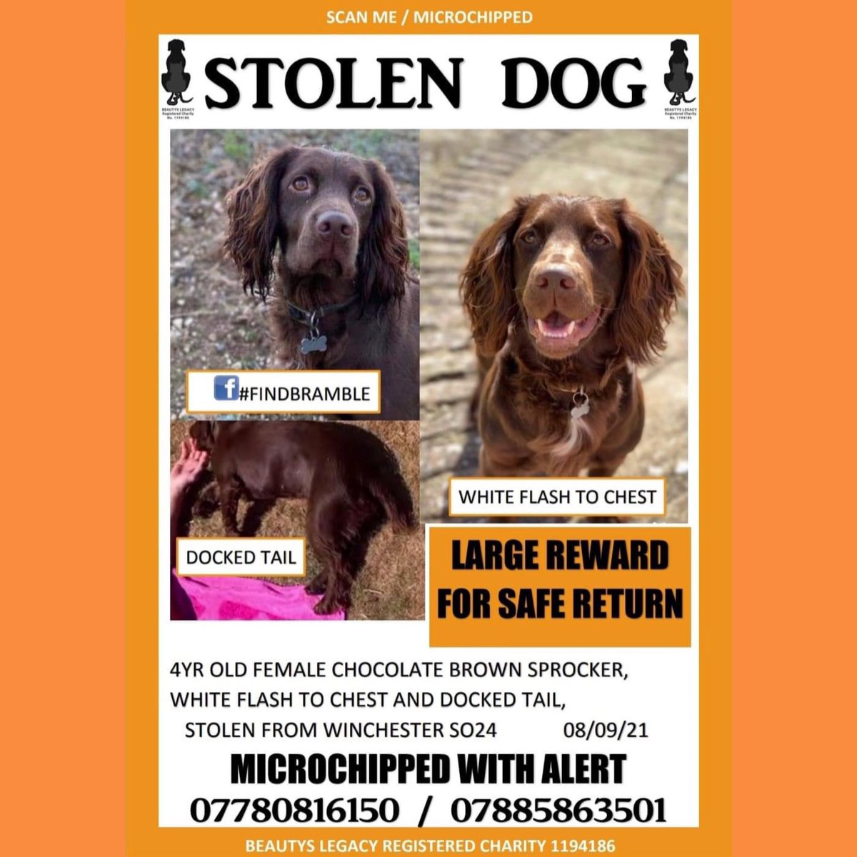 Bramble has been missing 6 wks now. We desperately need your help to find our girl and #bringbramblehome 🙏
Please can we ask you to join and share this group with your friends and family. We aim to cover the whole of the UK and Ireland 🤞
