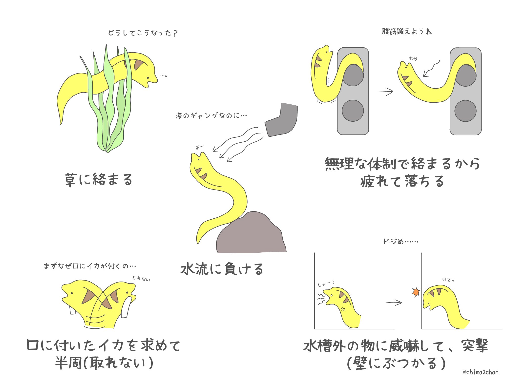 れれれ 19日いきものづくし東急ハンズ名古屋店 家のウツボがドジすぎる T Co 8op5kh4msp Twitter れれれ 19日いきものづくし東急ハンズ名古屋店 家のウツボがドジすぎる T Co 8op5kh4msp Twitter