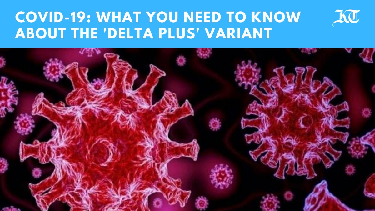 khaleejtimes's tweet image. #DeltaPlusVariant: Should you be worried?

Scientists are monitoring the delta-related variant to see if it might spread more easily or be more deadly than previous versions of the coronavirus.

Here&apos;s what we know so far⬇️