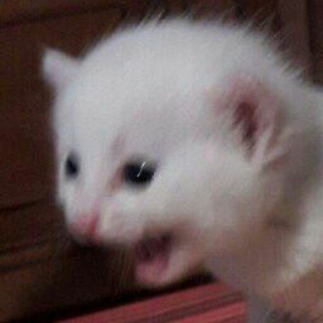 มึง กุแบ่บ แบ่บ
#winten