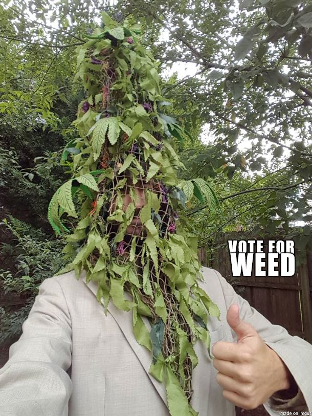 BuddyAppleweed's tweet photo. @AOC ✌️💚😁🌲 https://t.co/DrDKxxIhoB