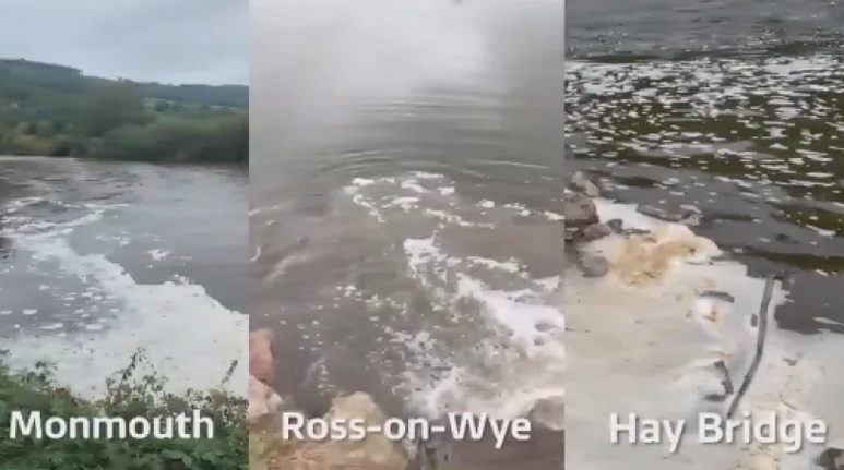 Talevalleytrust's tweet photo. Chicken faeces are high in phosphates...Of 86 readings 8 came in under the safe limit of 0.05 parts per million
#ecosystems #somersetrivers #devonrivers #saveourrivers #cleanwater #watermatters #riversmatter #talevalley #greenfuture #devonfarmer #pollution
https://t.co/Ou1R7HTG47 https://t.co/UYHllj41Xf