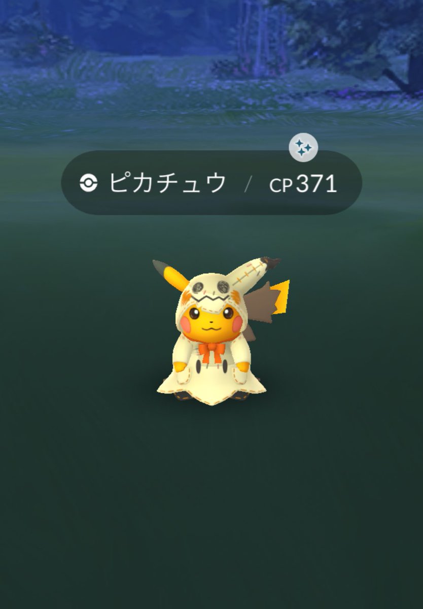 限 定 販 売 ポケモン しーちゃん様専用 シングルカード Gordoscoxinha Com Br