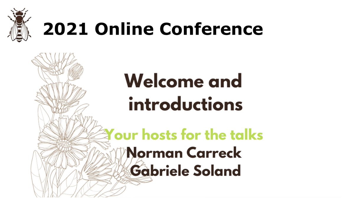 SicammF's tweet photo. Live now! Casting Light on Dark Bees!
The 2021 online conference has just kicked - Introduction with Per Thunman and Gabriele Soland from SICAMM. 
Starting soon - Dr Matthieu Guichard

Find out more and register on https://t.co/dNPbm7QBAo
#bees #today #conference #now #beekeeping https://t.co/YvwHx5H7dA