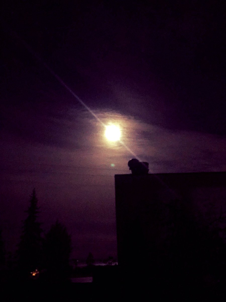 crowadinfinitum's tweet image. Night on the town!!🔮🌲🌟✨

#Moon  #TinyTown
#October  #Magic🔮🌟
#MyPhoto