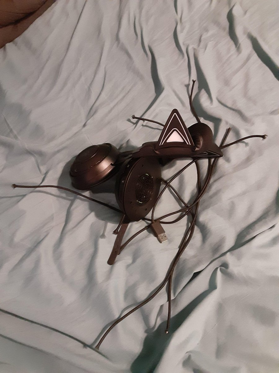 And this is what happens when <a href="/Razer/">R Λ Z Ξ R</a> asks for a proof of purchase that has long since been lost... For warranty support after being given the serial number
(Not my headset, pic from friend)