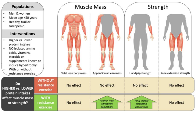 nick_krontiris's tweet photo. This systematic review and meta-analysis of randomized controlled trials comes to the conclusion that in older adults, an increased protein intake can result to increases in strength and muscle mass, but only combined with resistance training. https://t.co/jRByOt4Bss