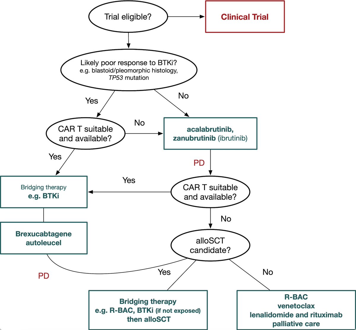 tobyeyre82's tweet photo. How to manage R/R #mantle cell #lymphoma?

Check out our new review in @BloodJournal 

- Covalent BTKi: which, when, combinations
- AlloSCT vs CART
- Novel agents in development

Great to work with experts @michaelwangmd &amp; @chanyooncheah #MCL #lymsm 

https://t.co/7Y3fWzOSd0 https://t.co/GUT3UZjaFW