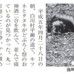 まるで日本昔話のワンシーン？!キツネとタヌキが一緒にお酒を飲んで寝ていた!