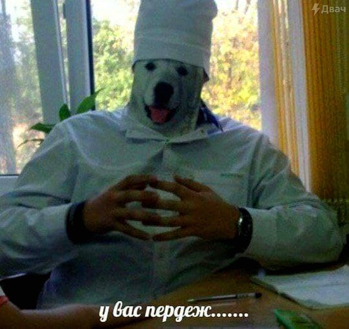 FCXKiNqXsAMKbG6?format=jpg&name=small