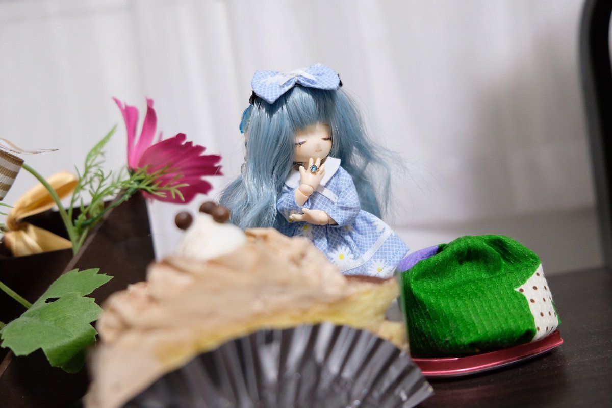 shincan_ex4's tweet photo. 先日、lily's長女ネリーの三周年記念日を無事に迎えまして、自宅で僅かばかりのお祝いをしました。
おっとりお姉さん、これからも姉妹と一緒に。
#めぇぷるりーふ #sleepinglily #whitelily https://t.co/dBd7elnMWQ