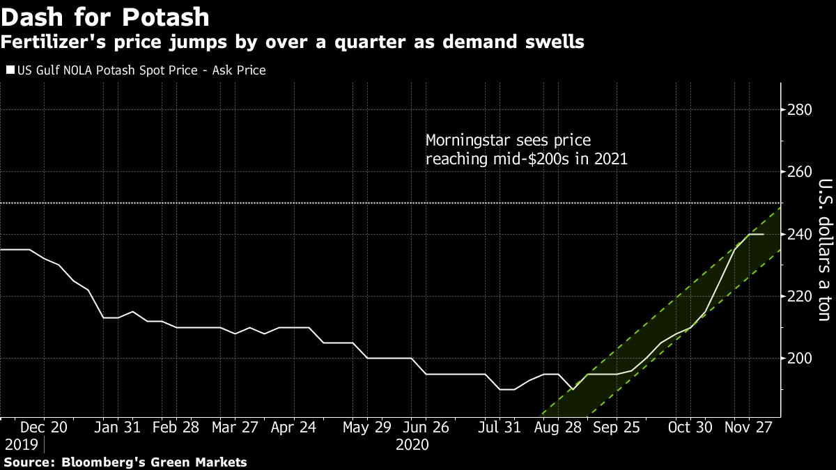 GoldSilverClub's tweet photo. #Fertilizer Rally Is Coming for the #Grain That Feeds Half the World >>> https://t.co/DmcW7ojdOI #CommoditySupercycle #CommodityInflation https://t.co/9oDjYLr2eP