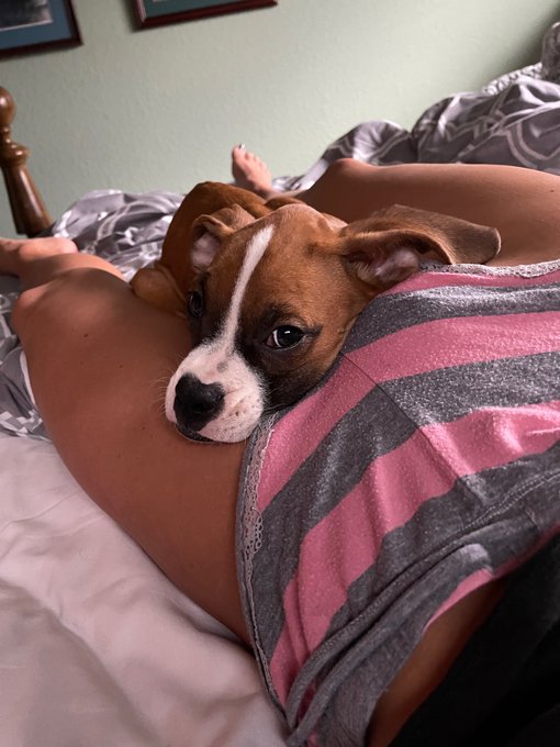 After a &ldquo;hard&rdquo; week of shooting I&rsquo;m in Montana and I&rsquo;m offering a Free 48 hrs join on my O.F. Join now<a href="/tag/nfl"class="tags"><span>#nfl</span></a>