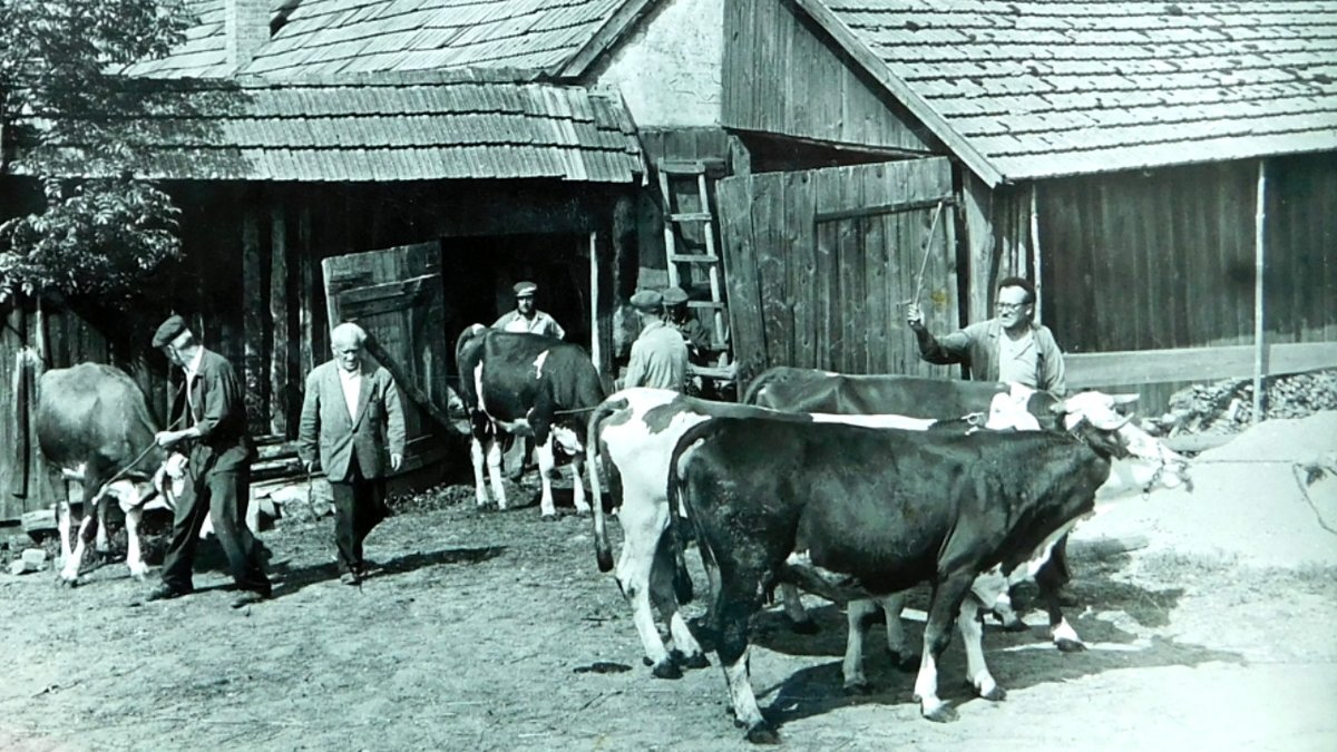 AnetCer's tweet photo. Před 70 lety podepsali komunisté směrnici, která zahájila Akci kulak.

Úspěšným sedlákům zabavili statky a vystěhovali je s celými rodinami na druhý konec republiky.

Do rodné obce nesměli zpět ani na pohřeb blízkých.

O domov tak přišlo zhruba 4 000 rodin, kolem 25 000 lidí. https://t.co/35Zts0i9nU