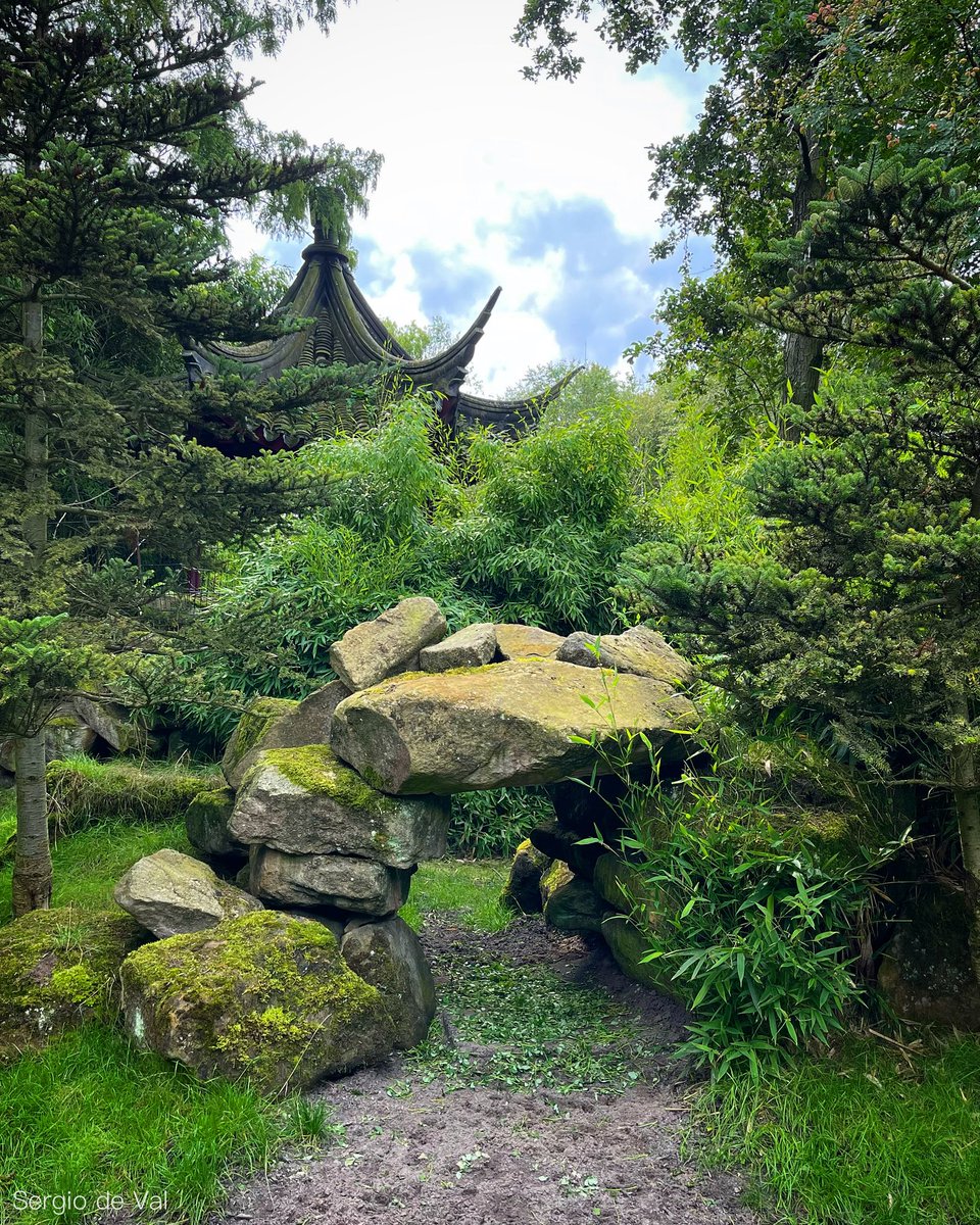 sergiodeval's tweet photo. #RotterdamZoo #DiergaardeBlijdorp #Rotterdam #CentralRotterdam #Netherlands #Nederland #Blijdorp #Zoo #Dierentuin #Temple #AsianTemple #Rottergram #010byday #RotterdamCity #Belanda #Beautifuldestination #Instamood #Instagood #Photography #Animalgram #Animalworld #Nature #Asia https://t.co/qDzwJMxdnv
