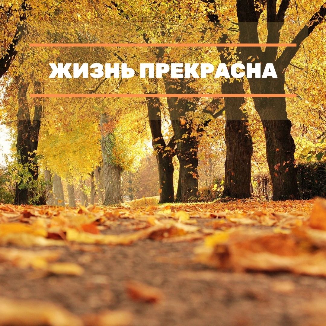 С началом отличных выходных!

Жизнь так прекрасна, чтобы откладывать её до понедельника. Будьте счастливы прямо сегодня!

#7jaby