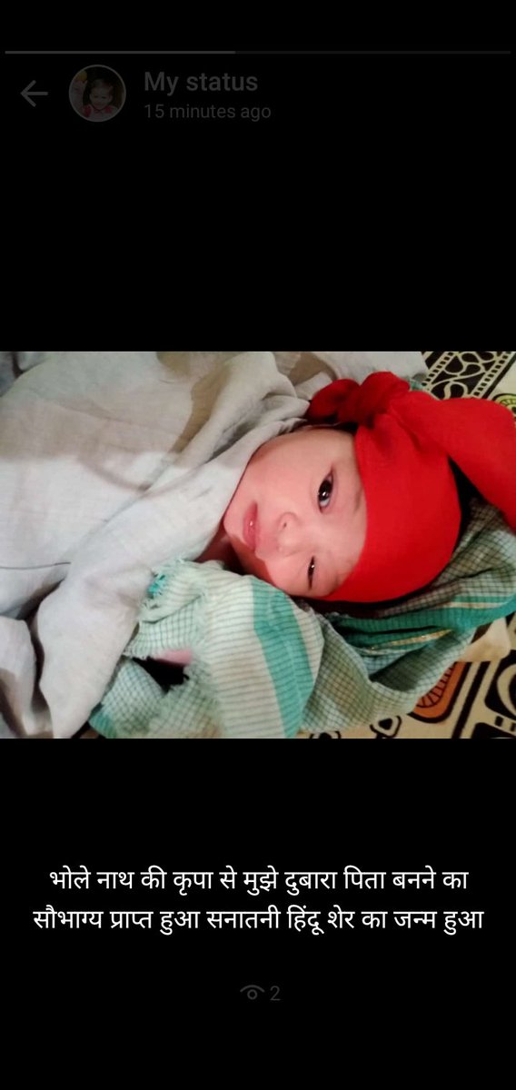 सनातनी हिन्दू शेर