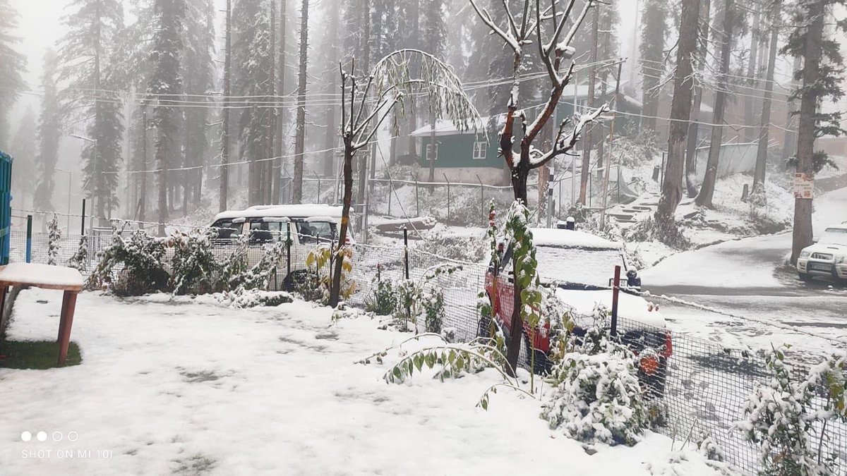 Karanvir Singh tweet media