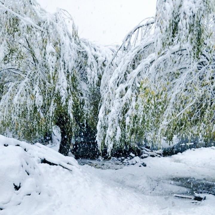 Karanvir Singh tweet media