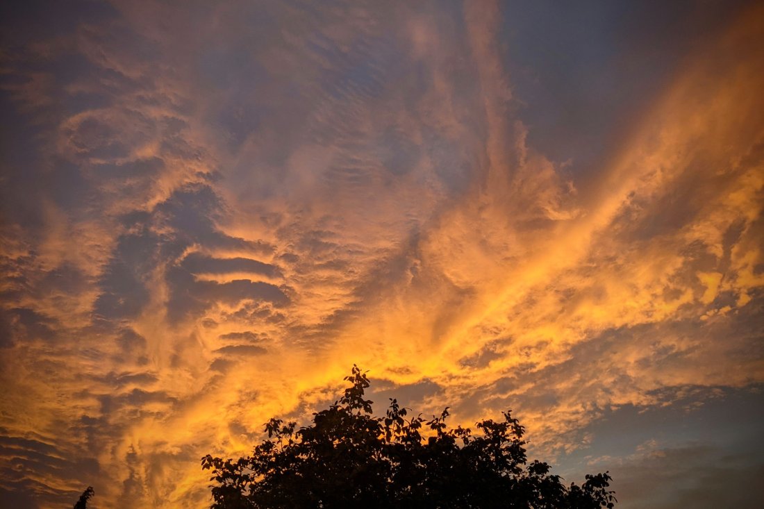 optimiced's tweet photo. I bring you... today's autumn sunrise. That's it. That's the blog post. :-ppp 
https://t.co/6X7X4vH5Wx #OptimicedBlog https://t.co/Wj7Cs1pMIo