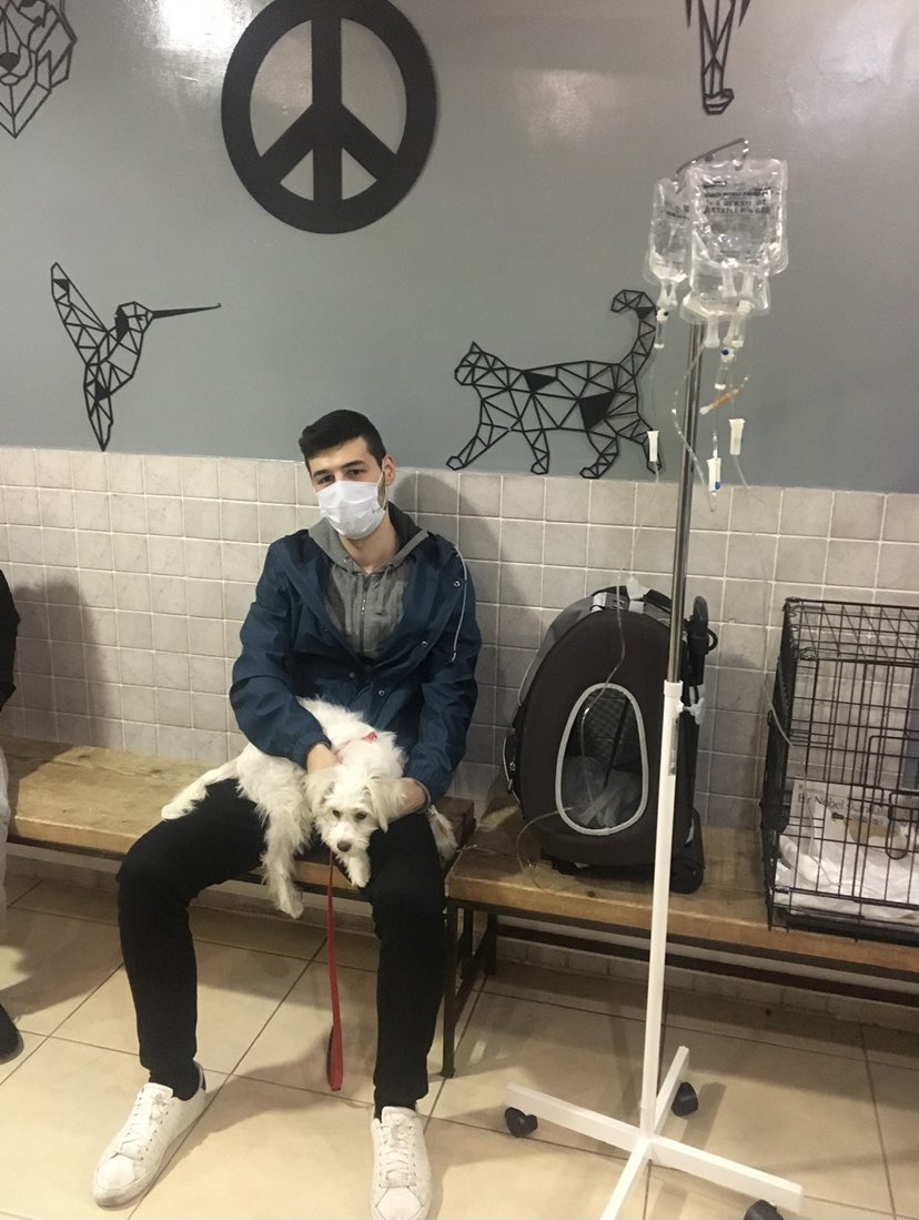 Giizzeemmc's tweet photo. #PawChallenge  yollarımız kesiştiğinde 6 aylık ömründe 3. Kez terkedilmişti. Barınaktan kaptığı virüs sebebiyle ilk bir haftamız veterinerde geçti. Ama sonra her şey öyle güzelleşti ki🥰 Biz ona, o bize şans olduk. İyi ki varsın güzel kızım🧡 https://t.co/0NaLrxu8Kh