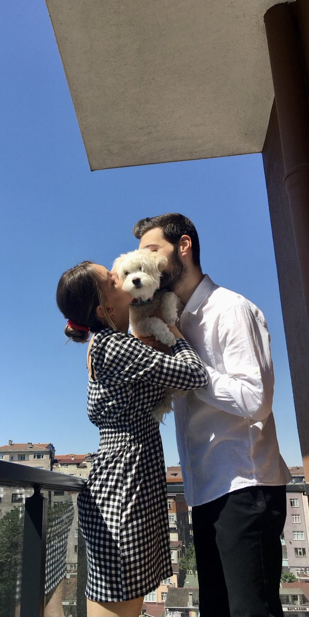 Giizzeemmc's tweet photo. #PawChallenge  yollarımız kesiştiğinde 6 aylık ömründe 3. Kez terkedilmişti. Barınaktan kaptığı virüs sebebiyle ilk bir haftamız veterinerde geçti. Ama sonra her şey öyle güzelleşti ki🥰 Biz ona, o bize şans olduk. İyi ki varsın güzel kızım🧡 https://t.co/0NaLrxu8Kh