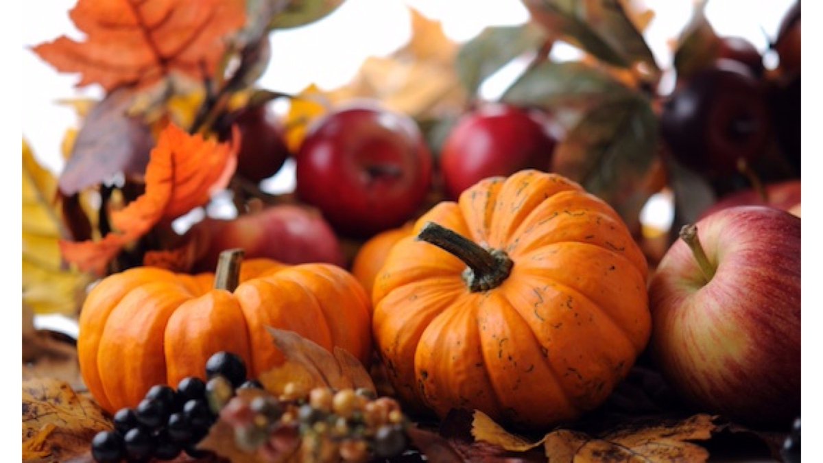 InspireSoD's tweet photo. The dance school is now closed for half term and reopens for classes on Monday 1st November. https://t.co/ppUtRwNU8q