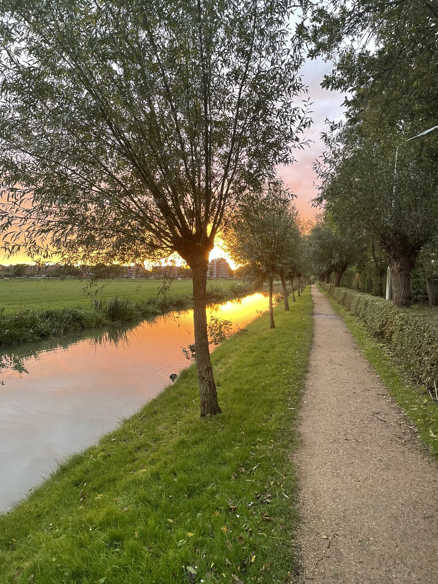 Out of steam and ideas? Jogging at dawn does wonders 😊