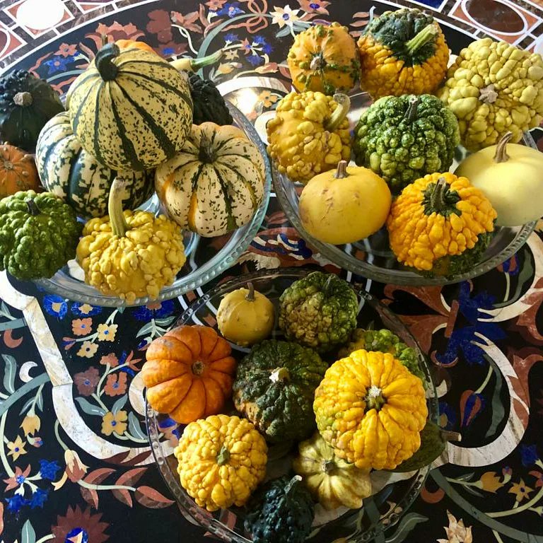 💛🧡💚 #gourds #autumncolour