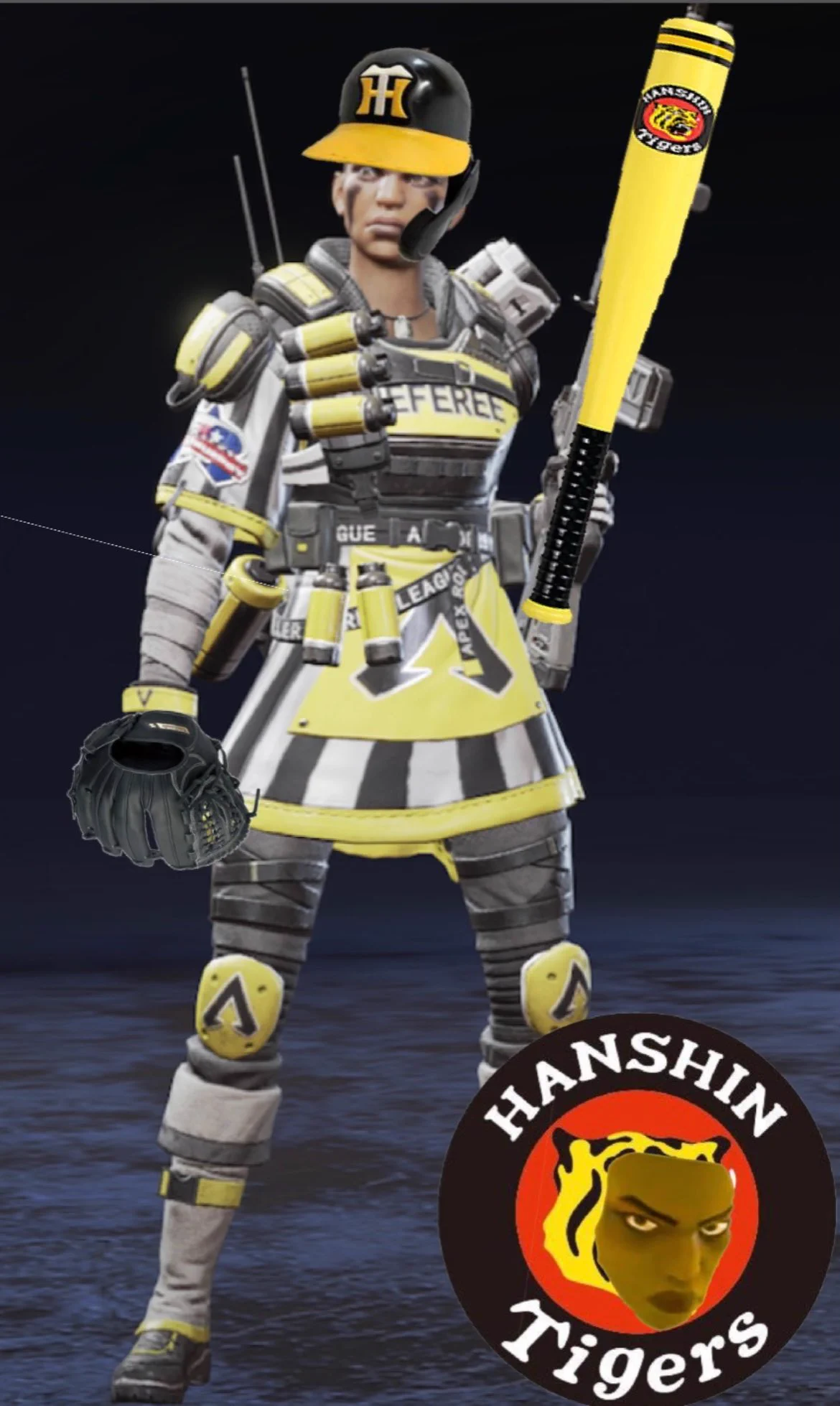 @hw11d 私はタイガースよ 