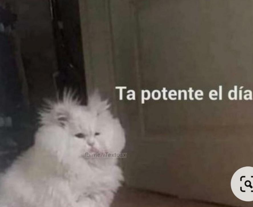 es_maryy's tweet photo. *Me levanto*

Yo: https://t.co/5s4QWNbRa4