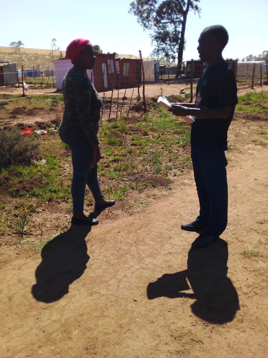 ThaboSeagiso's tweet photo. BLF Comrades in Ward 53 are busy with doing door to door.

#VoteBLF
#LGE2021 
#VoteForYourLife https://t.co/YhP1kSxNL2