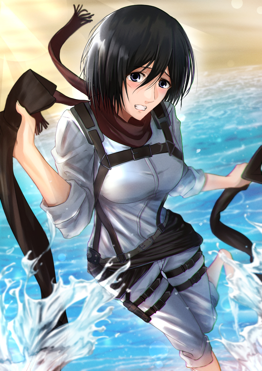 てんかす 壁の向こう側 進撃の巨人 Attackontitan Shingeki ミカサ アッカーマン 海 ミカサマジ美人 T Co Zcwsvhu1jt T Co Y5efovetfu Twitter