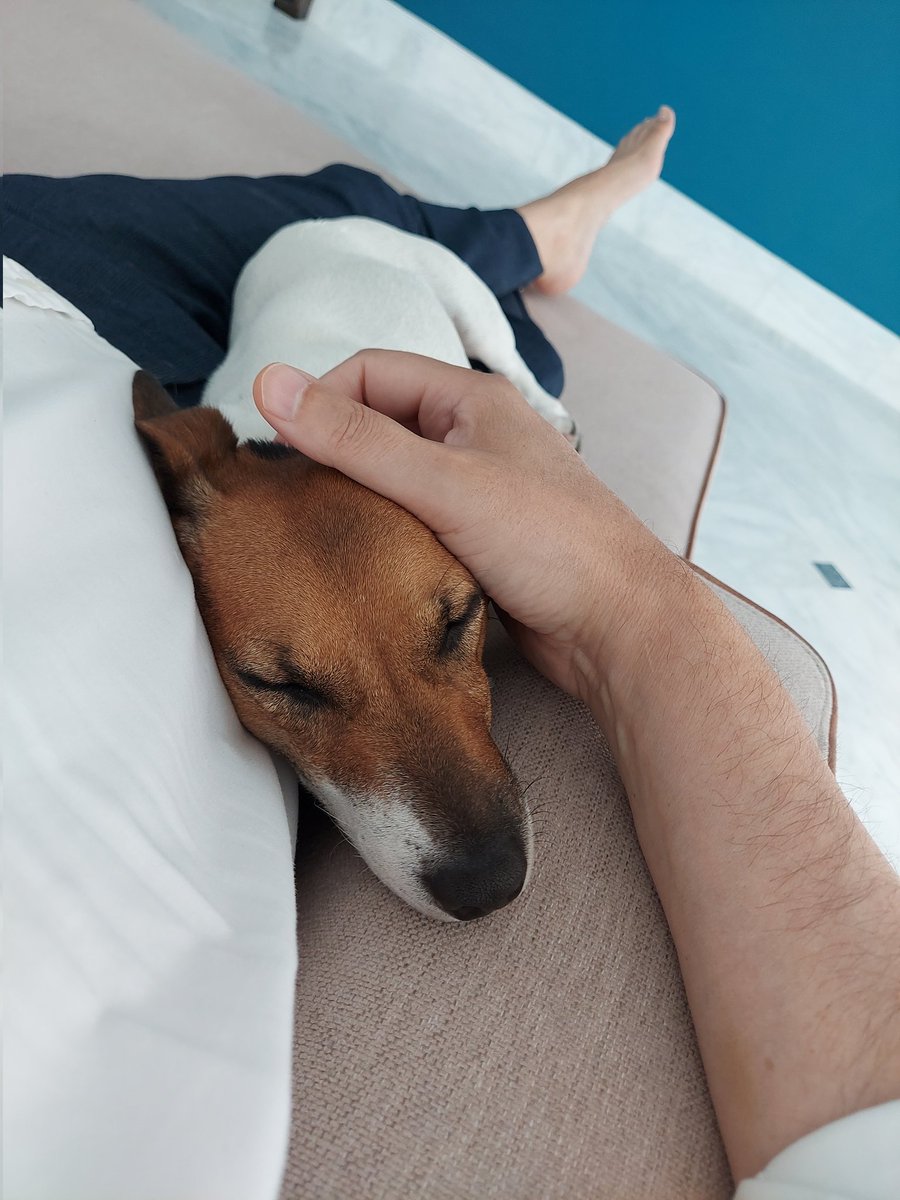 Alcanabal's tweet image. Petite malheureuse