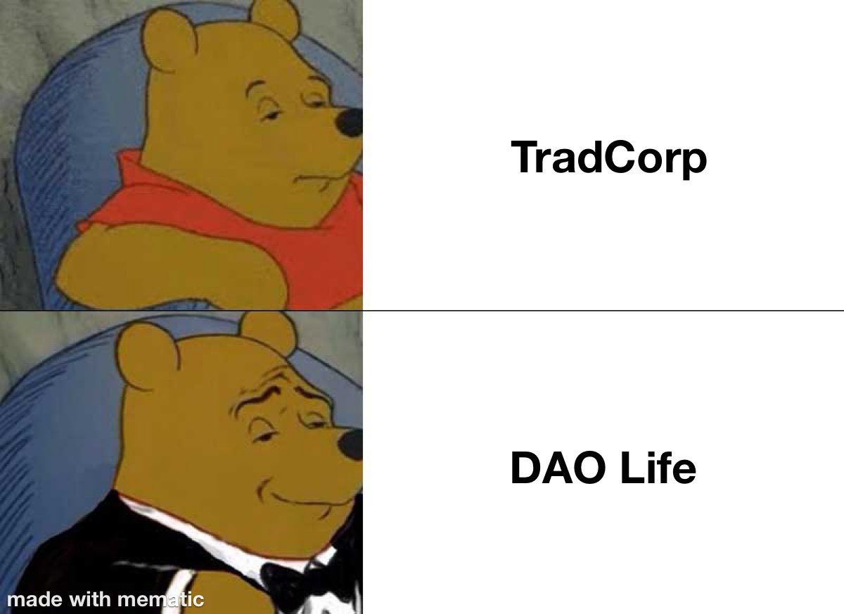 Come dei signori 

#banklessdaoIT #gobankless #ether #ethereum #dao #daos #daolife #daocommunity