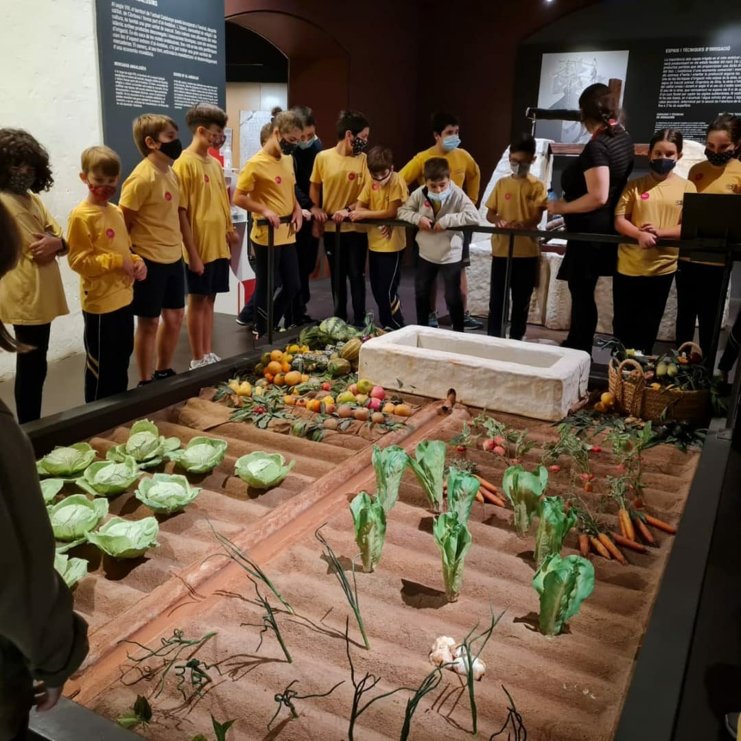 Aquesta setmana els de 5è de Primària hem iniciat el projecte sobre l'Edat Mitjana. La visita al Museu d'Història va ser el punt de partida per endinsar-nos en aquesta etapa històrica. Ens esperen un munt d'aventures!!
#connectatsambgoig 
#RedCentrosIT