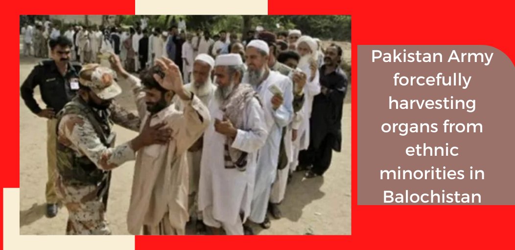 ShelliL42098671's tweet photo. #Pakistan army abduct people and the detainees who are released alive and their families are threatened with dire consequences if they speak publicly about their treatment in detention..!  #PakistanArmyBrutalities #SanctionPakistan https://t.co/5ufEPLBrWt