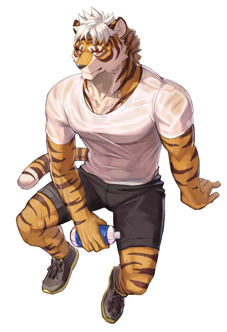 🐯 