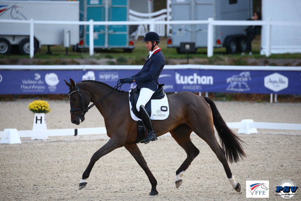 France_Equitation tweet media