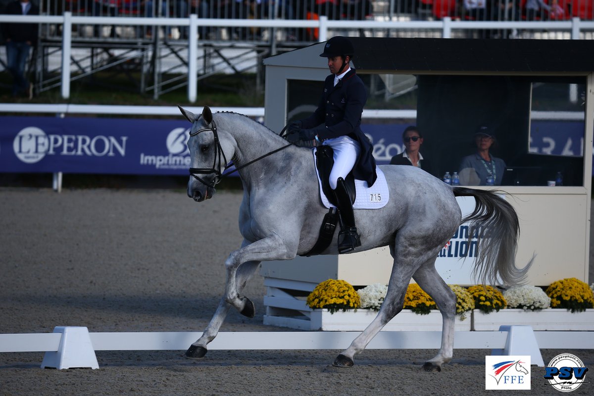 Fin du dressage hier au <a href="/MondialduLion/">Mondial du Lion</a> ! Thomas Carlile et Fair Lady des Broucks(26,5 pts) &amp; Nicolas Touzaint et Fibonacci de Lessac HDC (26,8 pts) sont 2e et 3e dans le championnat des 6 ans !👏🇫🇷
Place au cross ce samedi dès 10h💪💙🤍❤️
📺 live ➡ dailymotion.com/video/x654ltd?…