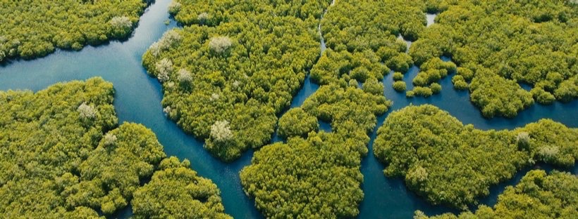 🆕 With <a href="/COP26/">COP26</a> just over a week away, we'll be sharing examples of how university research is tackling the climate emergency.

🌎 Scotland has an outstanding asset, in the form of its research base, to help meet this shared global challenge. 

👉 bit.ly/3vB2LfE