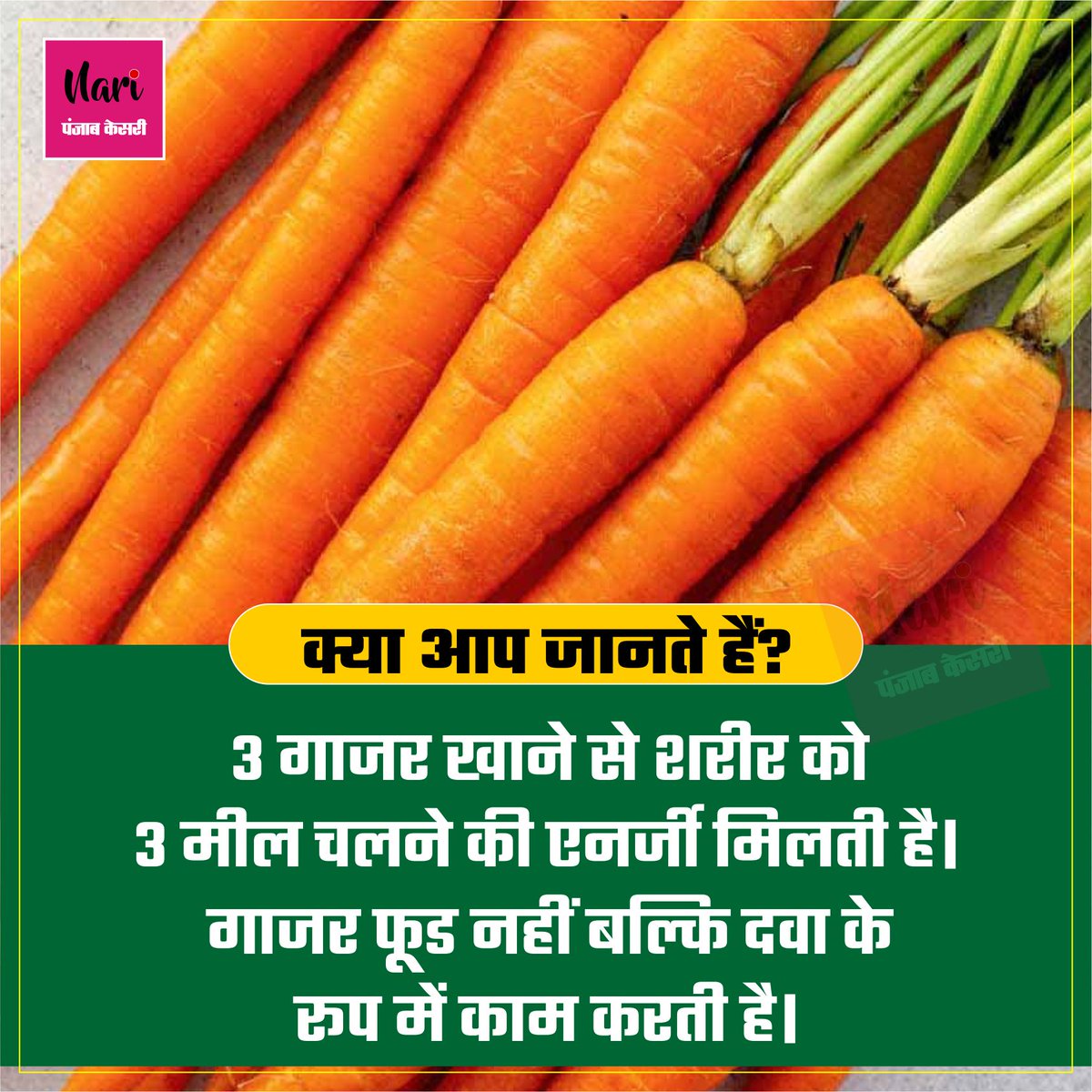 NariKesari's tweet photo. क्या आप जानते हैं?
#doyouknow #extremefactz #coolfactz #factsonfacts #sciencefacts #scaryfact #facts #dailyfacts #bratayleyfacts #psychologyfact #factonfact #factz #facto #kpopfact #extremefactz #factsdaily #factzoflife #creepyfacts #instafacts #amazingfacts #carrot https://t.co/c3tJDyVHir